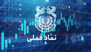 خبر مهم برای سهامداران فملی
